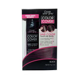 Cover Your Gray-touch Up Spray