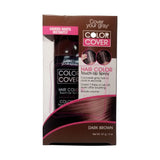Cover Your Gray-touch Up Spray